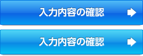 入力内容の確認